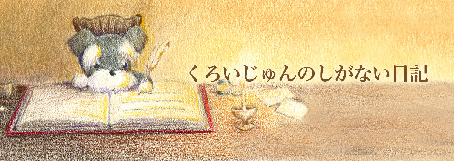 くろいじゅんのしがない日記